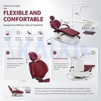 Sillón Dental Integrado con Motor Silencioso, Capacidad de Carga de 250 kg, con Escupidera de Cerámica para Tratamiento Endodóntico y Canal Radicular