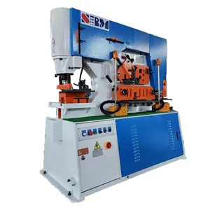 Raintech Factory in stock High Quality Hydraulic Ironworker Stainless Steel Punching And Shearing Machine