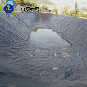 0.5Mm 0.75Mm 1Mm 1.5Mm <span class=keywords><strong>HDPE</strong></span> Màng Đất Cá Trang Trại Ao Lót <span class=keywords><strong>Geomembrane</strong></span> Ao Lót Giá - Product Image 2