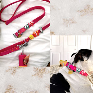 Anpassbares Dekoratives Zubehör Wasserdichtes Beschichtetes Silikon-Haustier-PVC-Hundehalsband und Leinenset mit Verschiedenen Stilanhängern - Product Image 3