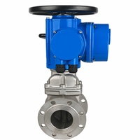 Vanne à opercule électrique à bride, corps en acier inoxydable, siège en EPDM, PN16, DN50~DN125 (2"~5 "), pour l'alimentation en eau
