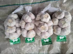 <span class=keywords><strong>Ail</strong></span> frais chinois Alho pour la vente en gros de légumes frais Prix usine <span class=keywords><strong>Ail</strong></span> <span class=keywords><strong>blanc</strong></span> <span class=keywords><strong>ou</strong></span> <span class=keywords><strong>violet</strong></span> frais pour 4.0 4.5 5.0 5.5 CM Taille - Product Image 2