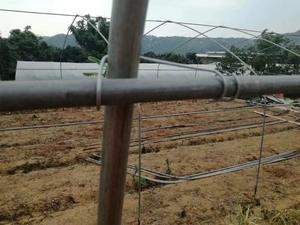 مشبك زنبركي كبير من الأسلاك الفولاذية المجلفنة لملحقات الدفيئات الزراعية - Product Image 5