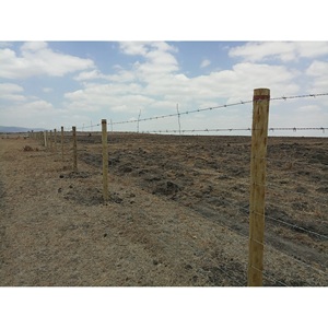 Hàng rào an ninh barbs lưới 2 sợi mạ kẽm dây thép gai cuộn <span class=keywords><strong>4</strong></span> điểm trang trại hàng rào an toàn hệ thống biên giới hỗ trợ concertina - Product Image 5