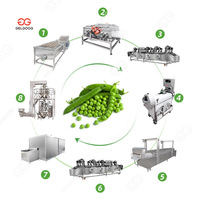 Línea de procesamiento de grado alimenticio Equipo congelado de verduras Máquina de congelación de zanahorias de maíz dulce y guisantes verdes