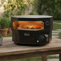 Horno de Pizza a Gas para Exteriores, Piedra Giratoria para Pizza de 12 Pulgadas, Horno de Acero Inoxidable para Encimera, para Hogar, Comercial y Fiestas