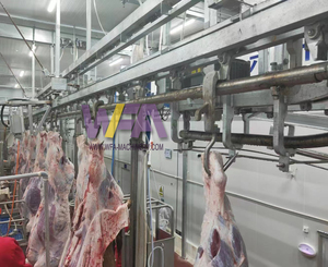 WFA complet 25-50 petit équipement d'abattoir, Machine de ligne de traitement d'abattage de boeuf de vache pour équipement de <span class=keywords><strong>boucherie</strong></span> - Product Image 4