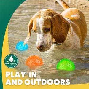 Meilleurs jouets interactifs et de mouvement pour chiens : haltères distributeurs de nourriture en TPR, jouets à mâcher pour animaux de compagnie - Product Image 6
