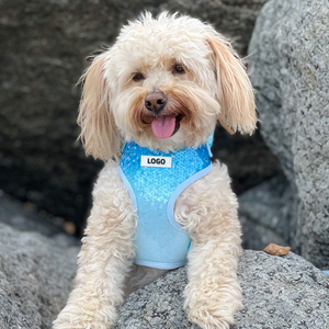 Blue Sequin Gradient Fashion Neues Modell Hunde hals geschirr Escape Proof Custom Design Hunde geschirr - Product Image 6