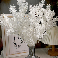 Gedroogde Echte Witte Decoratie Bloemen Eucalyptus Italiaanse Ruscus Stengels Geconserveerd Gebleekte Eucalyptus Kleine Bladeren Yf02