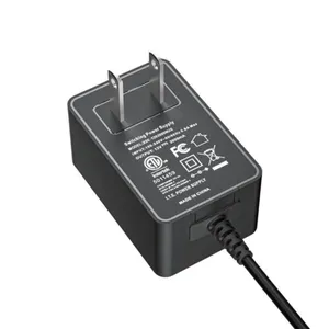 24v1a Carregador Horizontal DC Router Medidor de Beleza Superfície de Névoa fosca Pequeno Aparelho 12v2a Adaptador de Alimentação