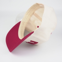 Gorra de Béisbol Deportiva de 5 Paneles, Bicolor, Estilo Urbano, Ajustable, con Cierre a Presión, 100% Algodón, Bordado, Tela Bicolor, con Logotipo Personalizado