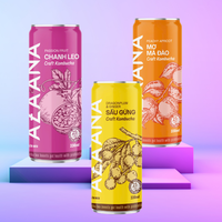 Vente en gros OEM de boissons vietnamiennes au thé kombucha à bon prix Boisson gazeuse aux fruits gingembre Ingrédients naturels Fabriqué Vietnam