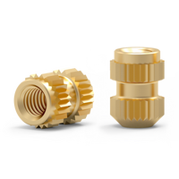 Mold-In Brass Insert Nuts for Medical Device Overmolding Buyer