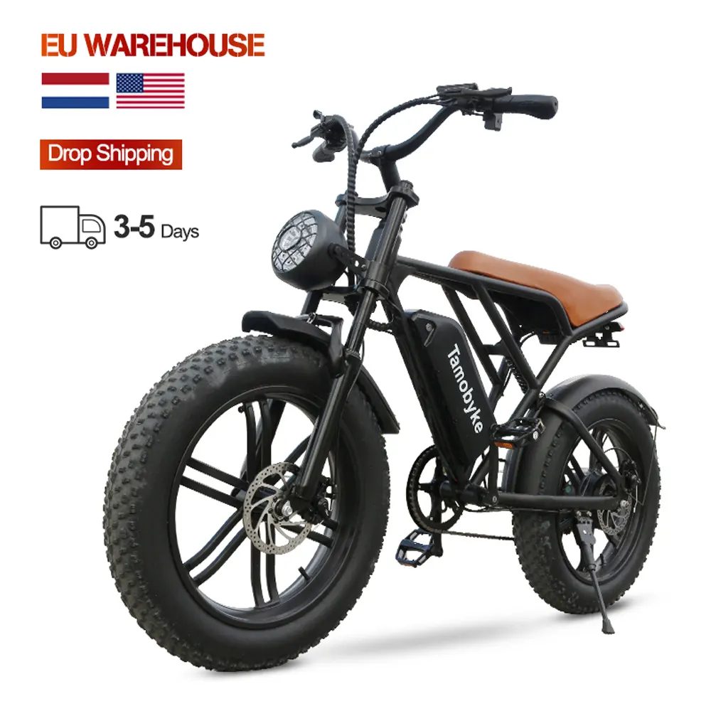 Entrepôt de l'UE tout-terrain ebike batterie au lithium gros pneu vélo électrique suspension complète 20 pouces acier 750W moteur puissant USA 48V H9