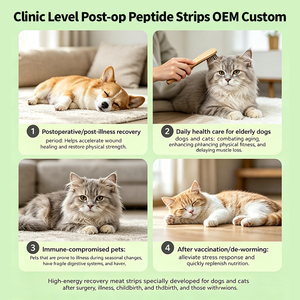 Snack di Recupero Post-Operatorio per Animali Domestici all'Ingrosso: Strisce di Carne Nutrienti con Peptidi, Colostro, IgY e IgG per il Supporto Immunitario - OEM - Product Image 3
