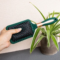 Gloway Professionnel Personnalisé OEM Kit de 4 Brosses Démêlantes de Luxe en Plastique pour Cheveux Bouclés, Vert, pour Salon de Coiffure et Femmes