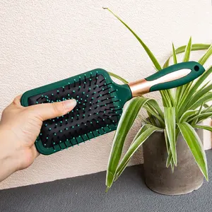 Gloway Custom Oem Professional 4 Stück Luxus Curly Plastic Detang ling Haar bürsten Salon Green Curly Hair Brush Set für Frauen