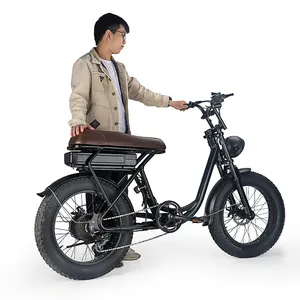 Folding Electric Mountain и City Dirt Bike, Long Range, Fat Tire, Road, Chinese, most Popular, 20in 2021