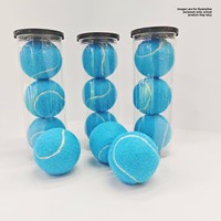 Balles de tennis d'entraînement en caoutchouc bleu clair Newchance 06 pour débutants, excellent rebond, durables, pour massage et fitness, usage individuel