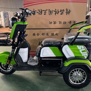 Tricycle Électrique Motorisé à Trois Roues 800W 60V pour Passagers, Type Carrosserie Ouverte, pour Personnes Âgées, Capacité 200kg - Product Image 6