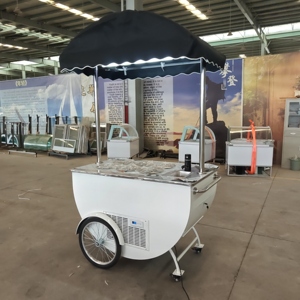 Chariot de vente ambulante en acier inoxydable pour crème glacée et desserts glacés avec auvent, idéal pour la vente de rue - Product Image 1