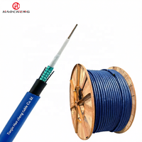 Cable de Minería para Exteriores FTTH MGXTW de 12/24 Núcleos, Reforzado con Alambre de Acero, Antirroedores, Ignífugo, Tipo Tubo Central