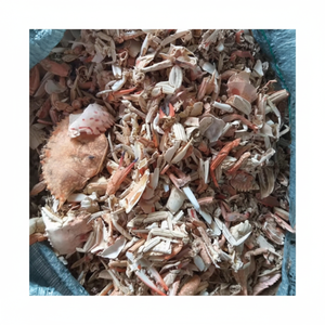 COQUILLE DE CRABE DU VIETNAM DE HAUTE QUALITÉ 2024-PRIX CONCURRENTIEL - Product Image 1