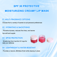 Masque pour les lèvres léger et imperméable SPF 30, hydratant, anti-dessèchement, anti-ridules, lèvres lisses, fini naturel, plusieurs parfums, OEM