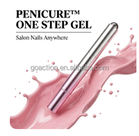 Set Pena Gel Cat Eye Portabel Magnetik UV LED Soak Off Perlengkapan Seni Kuku Set Hadiah Perjalanan