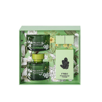 Coffret Cadeau d'Aromathérapie Écologique Sans Flamme pour Chambre d'Hôtel et Maison – Diffuseurs à Bâtonnets Longue Durée pour Assainir l'Air