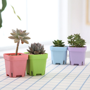 Gran oferta, suministros de jardín, maceta de plástico para vivero, maceta cuadrada para plántulas con tapas de cúpula de plástico transparente - Product Image 5