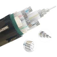 Câble industriel basse tension monoconducteur MV YJV/YJV/YJV22/YJV32/YJV62/YJV72 avec conducteur en aluminium et isolation XLPE 3x185+2x95