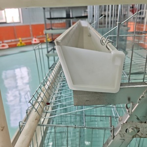 Vente en gros de cages à batterie <span class=keywords><strong>pour</strong></span> volailles de 160 places, type A, 1000 poules pondeuses, système de reproduction galvanisé, <span class=keywords><strong>cage</strong></span> à poules pondeuses <span class=keywords><strong>pour</strong></span> ferme - Product Image 2