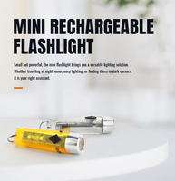 Porte-clés Lampe de poche Type-C Lampe de poche rechargeable Mini lampe de poche magnétique avec adaptée à la randonnée, au camping