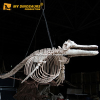 MY DINO Décoration d'Halloween Indispensable : Fossile de Dauphin Personnalisé en Fibre de Verre à Vendre