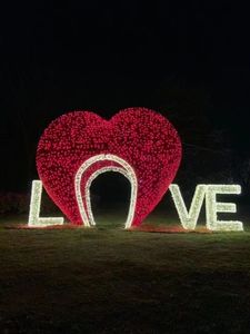 Lumières LED de Noël 2D étanches IP65 pour intérieur/extérieur, affichage lumineux pour décoration de fêtes - Product Image 1