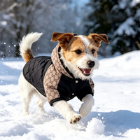 Manteau d'hiver pour grand chien, gilet de luxe en coton, veste à capuche de couleur unie écologique pour Golden Retriever et Labrador, vente en gros
