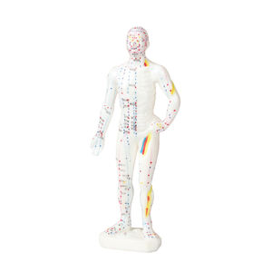 Zhongyan Taihe Acupunctuurtherapie Van Het Traditionele Chinese Geneeskunde Menselijk Puntmodel - Product Image 2