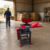 Machine à pulper la paille pour fourrage vert du bétail, modèle 300, 220V, en acier inoxydable, broyeur d'aliments humides et secs, portable sur roues