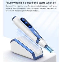 Vente directe d'usine - Stylo hydratant sans aiguille pour usage domestique - Soins de la peau - Stylo dermique pour le visage A11