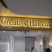 Finition Métallique Premium, Éclairage LED Halo Doux, Lumineux et Économe en Énergie, Enseigne avec Logo Personnalisé, Étanche en Extérieur, Installation Facile