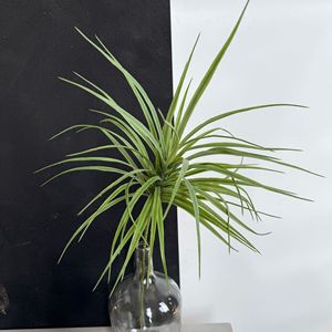 Planta Artificial de Cattail Jinxi de 85 cm, Decoración de Plástico para Interiores, para el Hogar, Accesorios para Bodas - Product Image 2