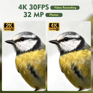 กล้อง AI Smart Bird Feeder ความละเอียด <span class=keywords><strong>4K</strong></span> UHD ใช้พลังงานแสงอาทิตย์ บ้านดูนกพร้อมระบบตรวจจับความเคลื่อนไหว PIR ควบคุมผ่านแอพ WiFi เหมาะสำหรับเป็นของขวัญ - Product Image 5