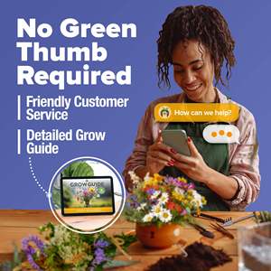 Kit de paquets de mélange de fleurs sauvages d'intérieur facile à cultiver, style campagnard, ensemble de pots, fleurs à taux de germination élevé au sol - Product Image 5