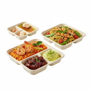 <span class=keywords><strong>ก</strong></span>ล่องอาหารกลางวันแบบย่อยสลายได้พร้อมฝาปิดโปร่งใสบรรจุอาหารชานอ้อยพิมพ์ลายนูนสำหรับทำซูชิ - Product Image 2