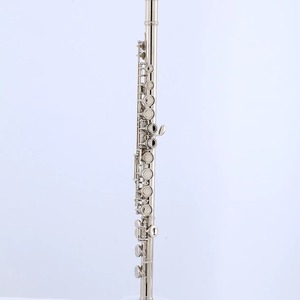 <span class=keywords><strong>Flûte</strong></span> à bec en nickel plaqué à 16 trous, accordage en Do, instrument argenté - Product Image 1