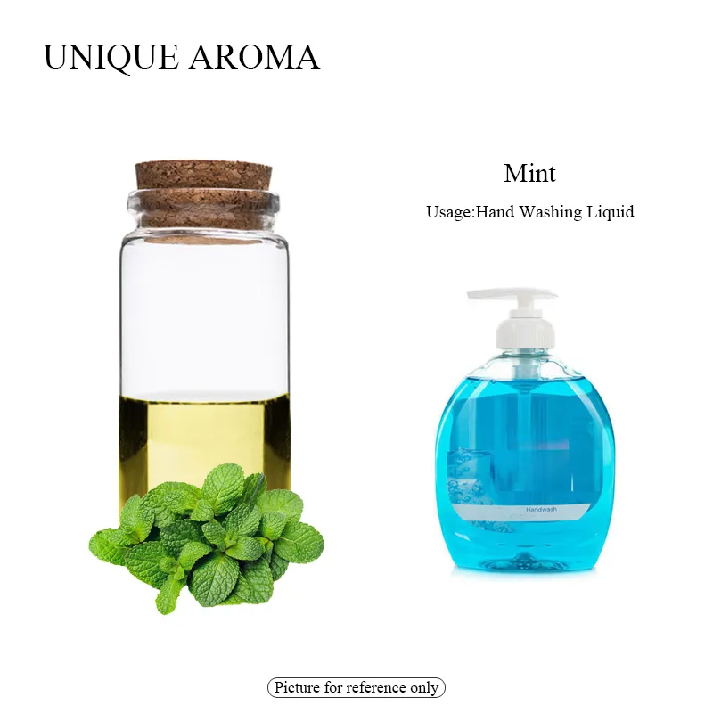 Unieke Aroma Mint Geur Olie Wijd Gebruik Hand Wasmiddel Geuren