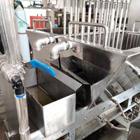 Machine automatique de fabrication de bonbons gélifiés au lait, caramel, sucre mou, toffee, bonbons durs pour améliorer la fonctionnement mental, la stabilité de la santé