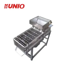 Small peanut cashew nuts pine nuts pistachio almond skin peeling machine